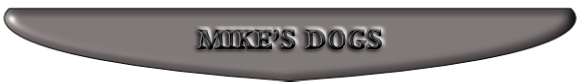 MIKE’S DOGS